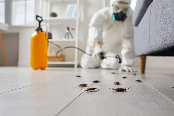 Commercial Rodent Management in Tropical Park